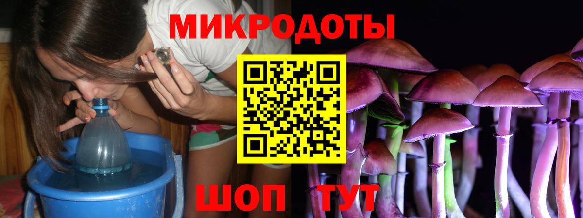 Пугачёв  Галлюциногенные грибы Magic Shrooms  Вход с VPN 